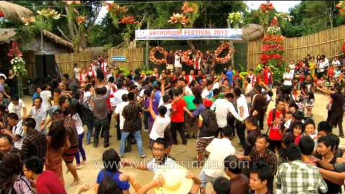 Mizo rock singer F. Sanglura entertains all - Anthurium festival