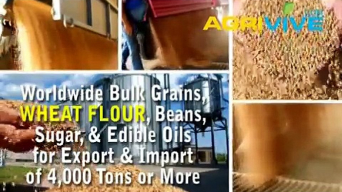 Bulk Wheat Flour Purchasing, Wheat Flour Purchasing, Wheat Flour Purchasing, Wheat Flour Purchasing, Wheat Flour Purchas