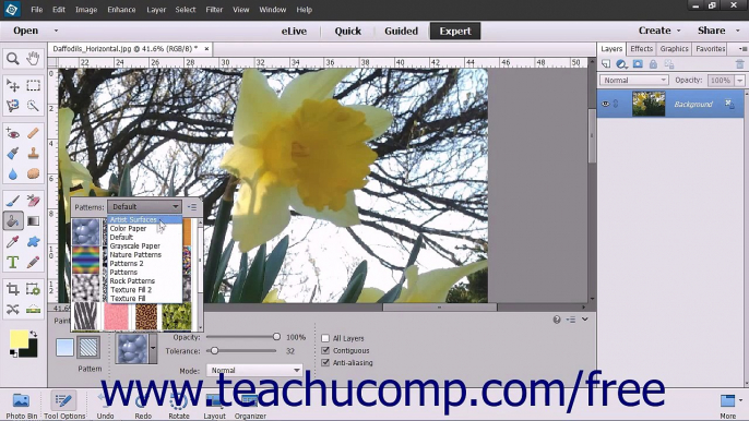 Photoshop Elements 13 Tutorial Using the Paint Bucket Tool Adobe Training