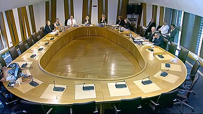 City of Edinburgh Council (Portobello Park) Bill Committee - Scottish Parliament: 12th June 2014