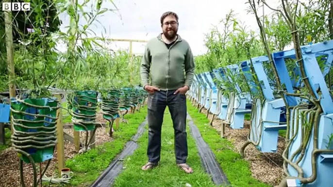 Cet artiste donne des formes de chaises à des arbres : magique!