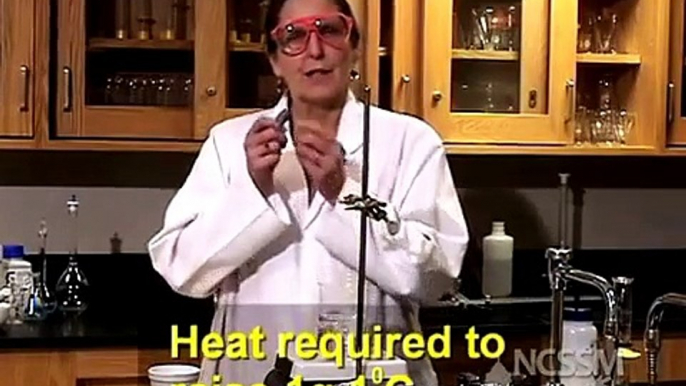 Specific Heat of a Metal Lab | physics experiments, | physics experiments for high school,