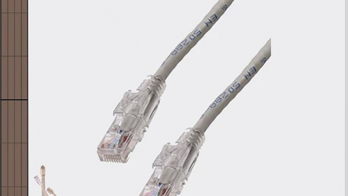 NTW 100 Ft. Lockable CAT6 Patented net-Lock RJ45 Ethernet Network Patch Cable (UTP)  Snagless