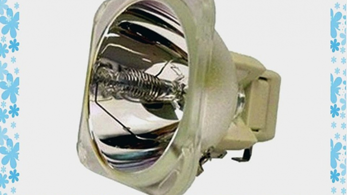 Vivitek D825MS Projector Brand New High Quality Original Projector Bulb