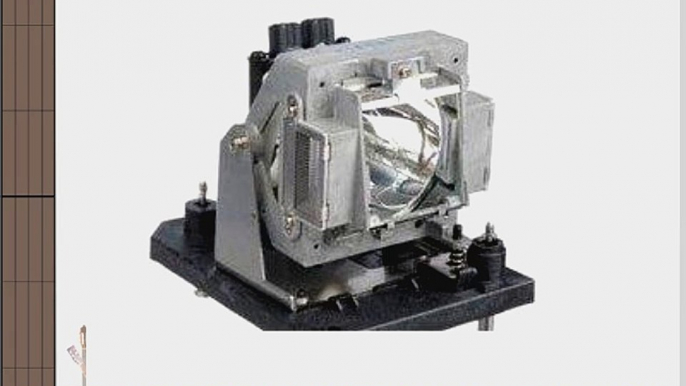 Electrified POA-LMP117 / 610-335-8406 Replacement Lamp with Housing for Sanyo Projectors