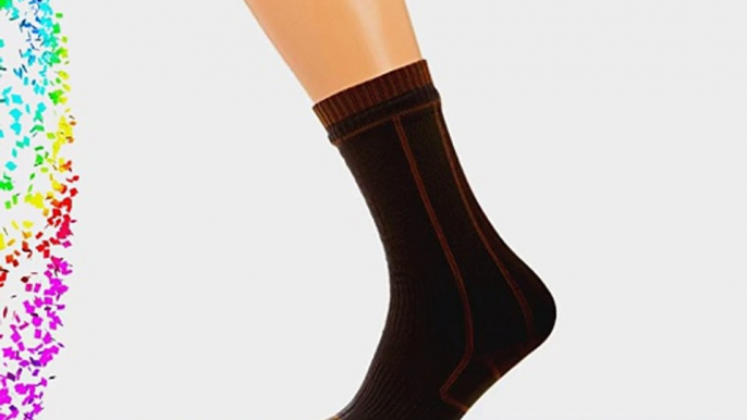 Sealskinz Walking Sock - Black black Size:L