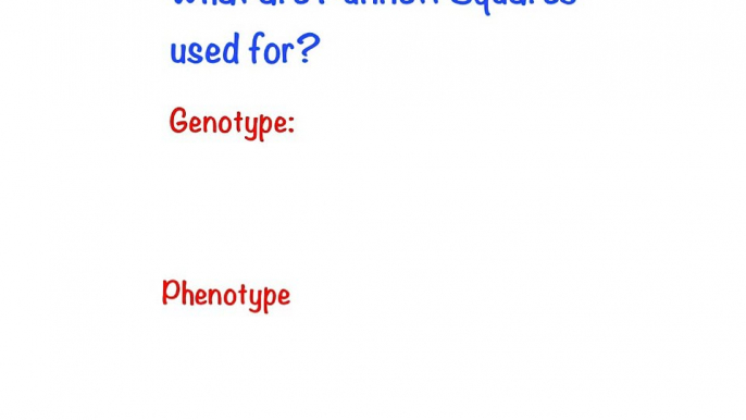 Punnett Squares (Explain Everything!)