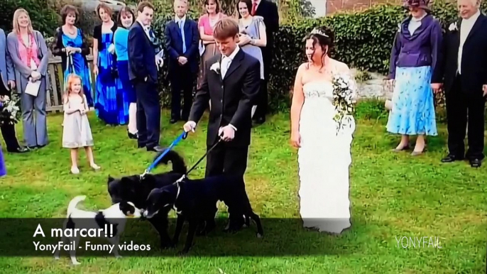 Bodas que salieron mal. Perro se mea en la novia y el novio reacciona de una forma increible a la broma