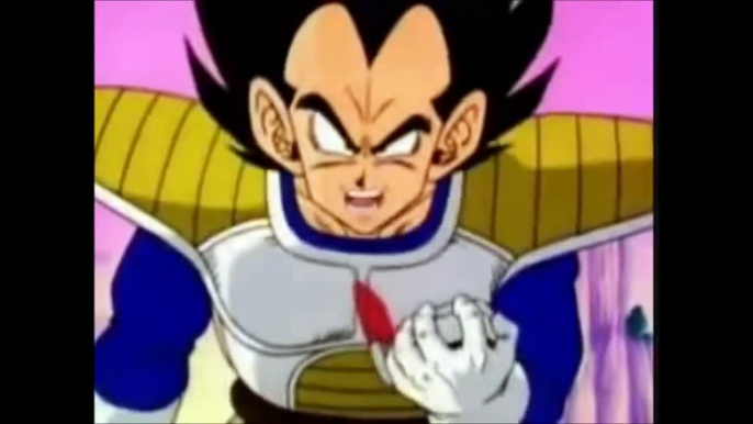 YTP - vegeta, what does the fox say about his power level? it's over 9000!