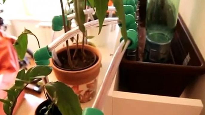 Cheap and practical DIY self-watering system for plants (video)