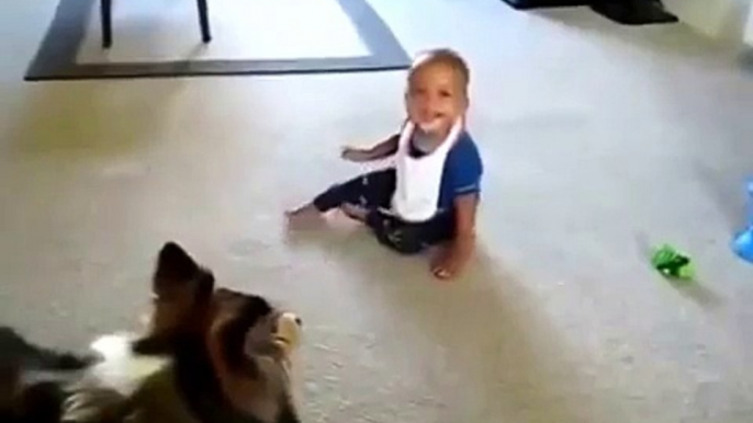 Funny Videos Baby Compilation 2015, Babies Laughing Hysterically at Dogs and cats HD