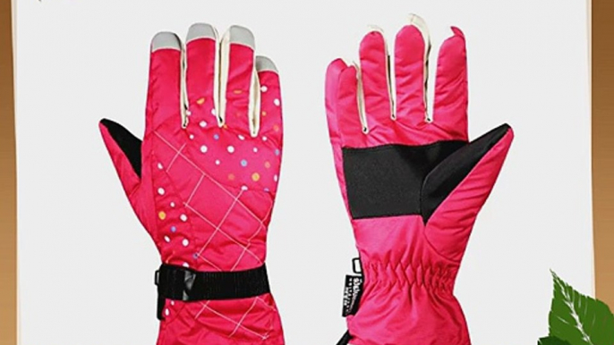 Waterfly? Fashion Women's Femal Warm Waterproof Winter Outdoor Glove Cycling Gloves Biking