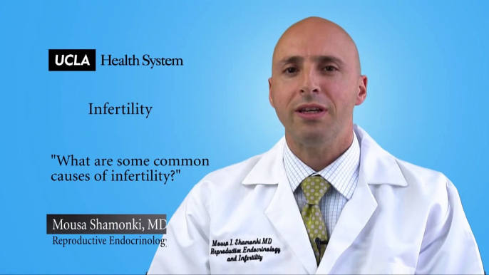 Real Questions | Infertility, Obstetrics and Gynecology UCLA