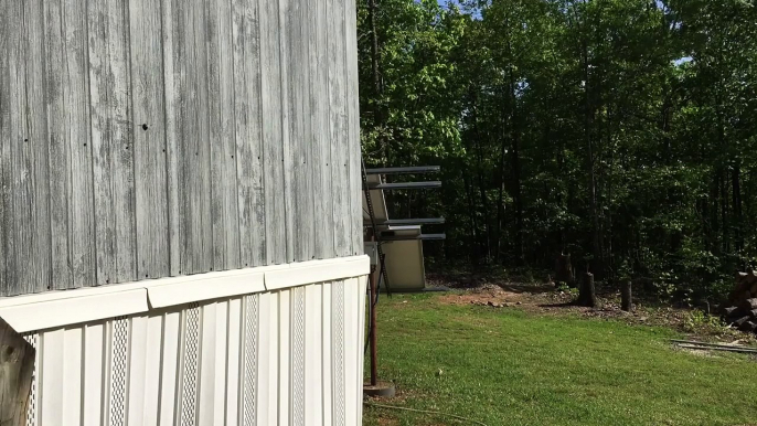 Bee Chasing Rocks in Slow Motion