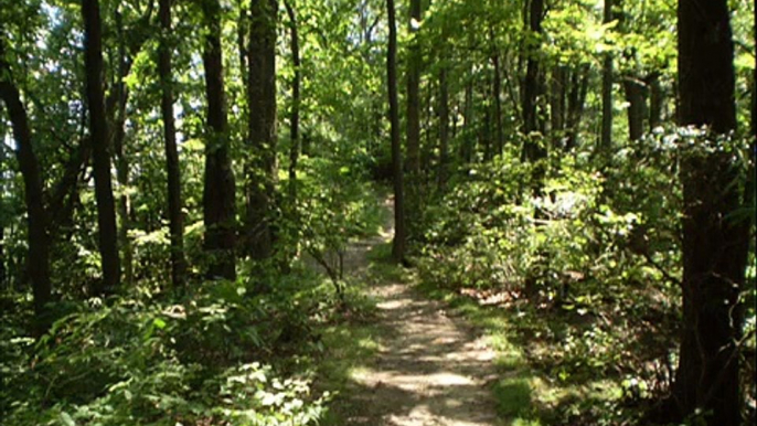 Blue Ridge Parkway :Boone,NC to Fancy Gap, VA