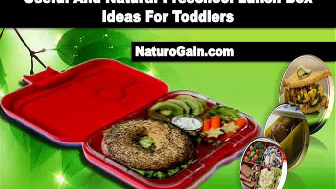 Useful And Natural Preschool Lunch Box Ideas For Toddlers