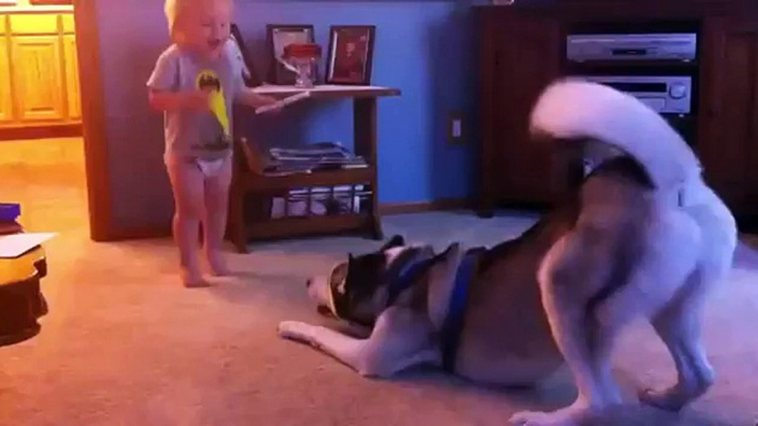 New Funny Animal Videos Compilation 2014   Baby And Husky Have Deep Conversation Funny Videos