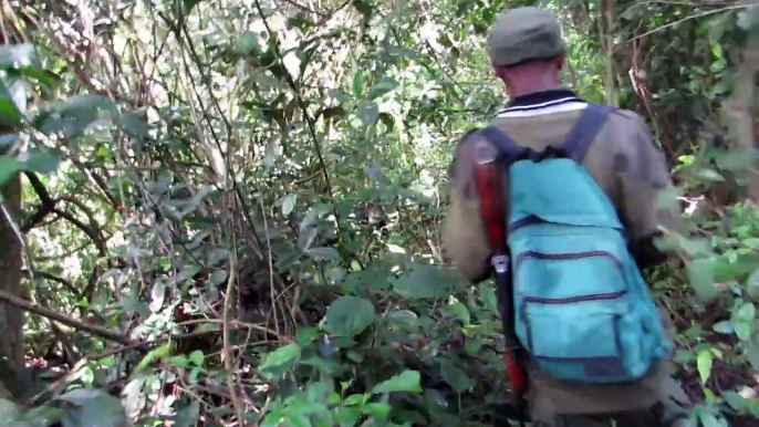 Chimp trekking in Kibale National Park, Uganda