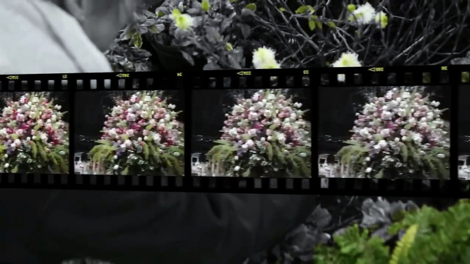 The 2015 Philadelphia Flower Show: Lights, Camera, BLOOM