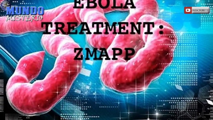 ¿Ha Comenzado el Brutal Apocalipsis Zombie? Muertos del Ebola regresan a la vida y Kansas se prepar