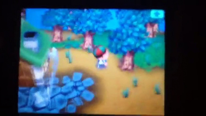 Animal crossing wild world town tour