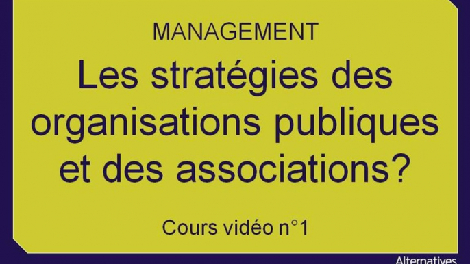 Term Mana chap 7 les stratégies des organisations publiques et des associations