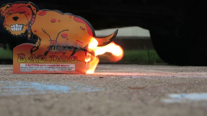 Bad dog - le feu d'artifice qui fait caca au lieu d'exploser