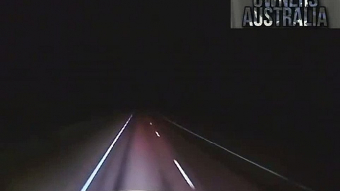 Truck Hits Cow - Caught on Dash Cam