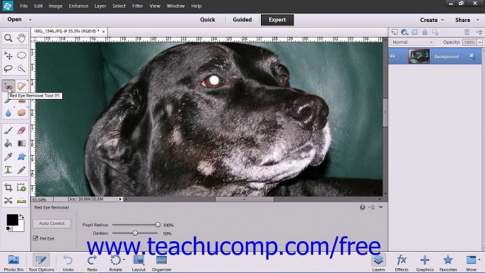 Photoshop Elements 12 Tutorial The Red Eye Removal Tool Adobe Training Lesson 14.2