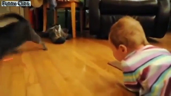 Funny videos Animals + Babies   Best Of Babies Laughing Hysterically At Dogs And Cats Compilation