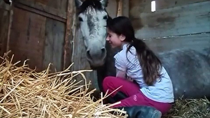 Toda la felicidad esta a lomos de un caballo♥