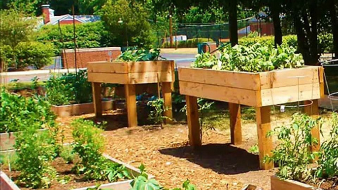 Best raised bed garden designs I Creative raised garden bed designs I Garden bed edging ideas