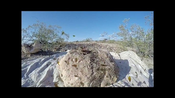 Bottle Breaking In Slow Motion "The GoPro Slow-Motion Series" By: The ChrisEditing Productions.