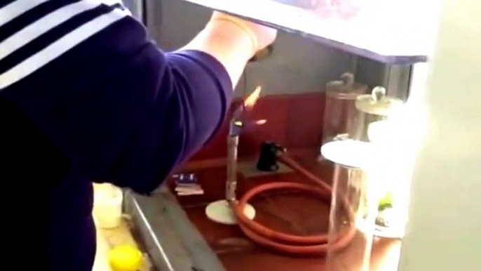 Sulphur di oxide Practical Experiment | science projects, | science experiments, |physics projects,