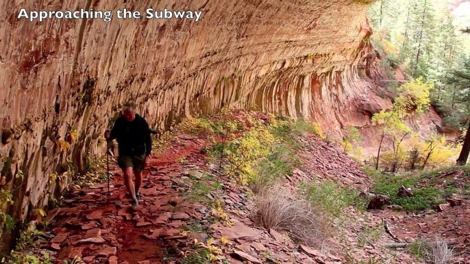 Zion National Park's Virgin River Narrows and Subway Hikes