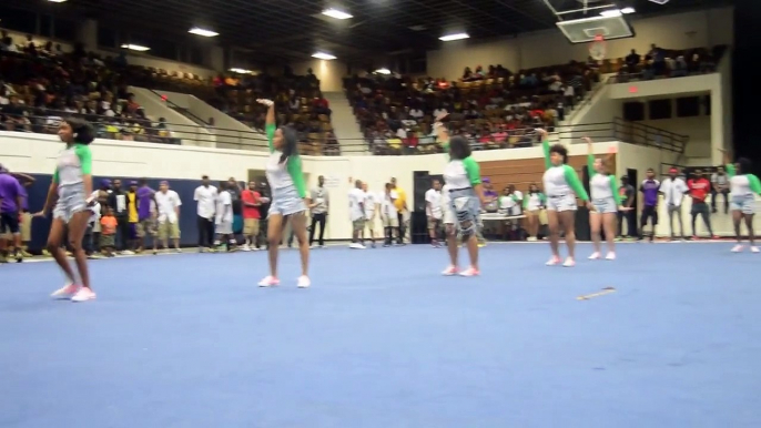 South Carolina State University Greek Showcase (ALPHA KAPPA ALPHA)