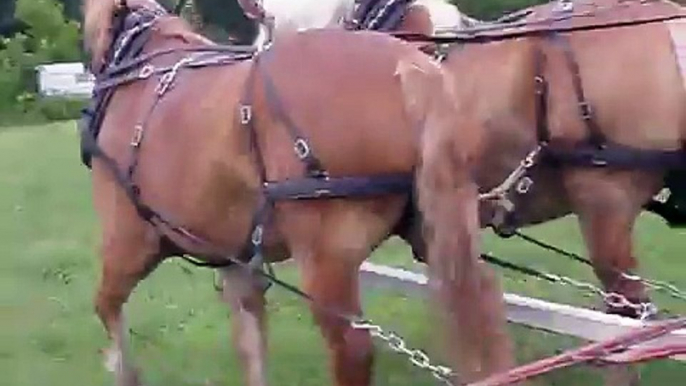 Horse-Drawn Round Bale Mover