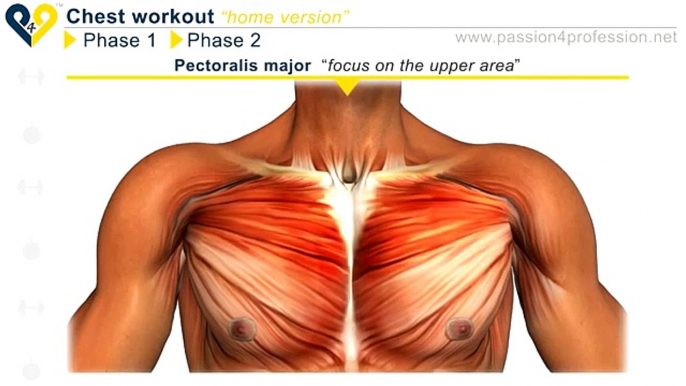 NEW Best Chest Workout Routine(For Beginners)