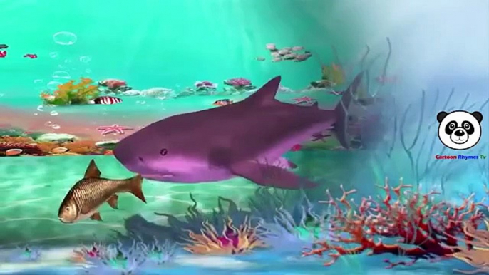 Finger Family Children Nursery Rhymes | Sharks Cartoons Finger Family Nursery Rhymes for Babies