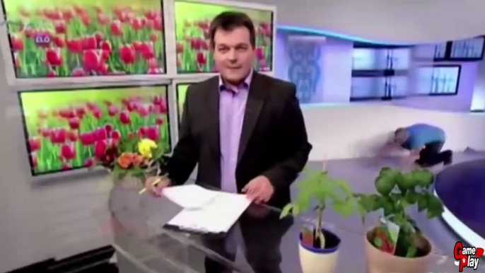 BEST NEWS BLOOPERS - Amazing Reporter Fails - Funny Video 2015