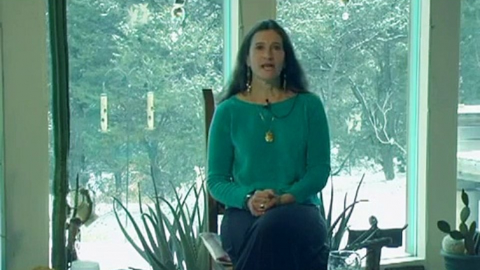 Shaman Sandra Ingerman on Shamanism