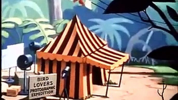 Walt Disney - Donald Duck - Clown of the Jungle - The Aracuan Bird