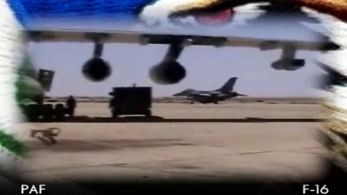 F-16 FIGHTING FALCON,(pakistan Air force),demo display],(17 thunder & C-130)