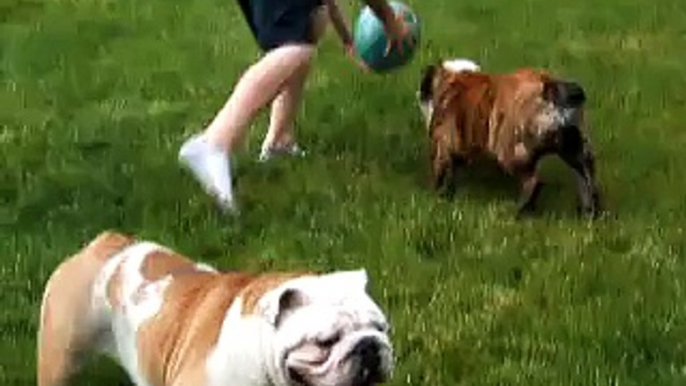 Neighbor kids playing with the bullies.