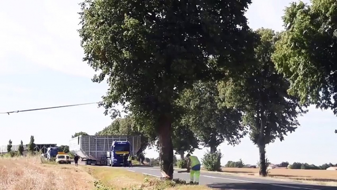 Luçon : route de La Roche, les arbres coupés pour faire passer les convois