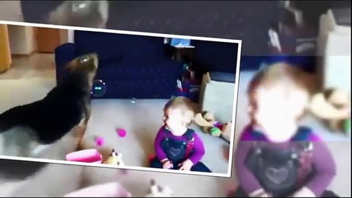 Funny Videos Of Babies Dancing | Dancing Babies Funny Videos | August 2015 Pocola