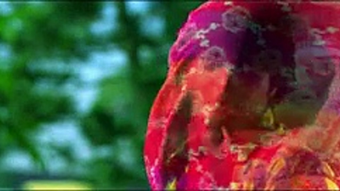 Meri Jaan - Lollywood Full HD Video Song Meri Jaan [2015] Pakistani Movie 2015