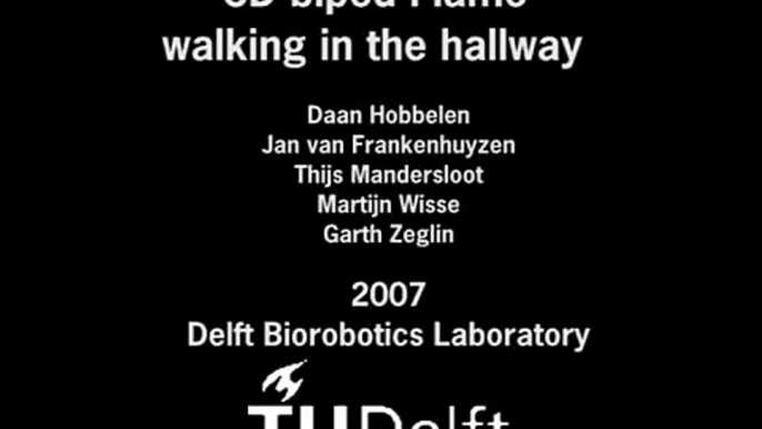 FLAME - Dutch Robot walks like humans