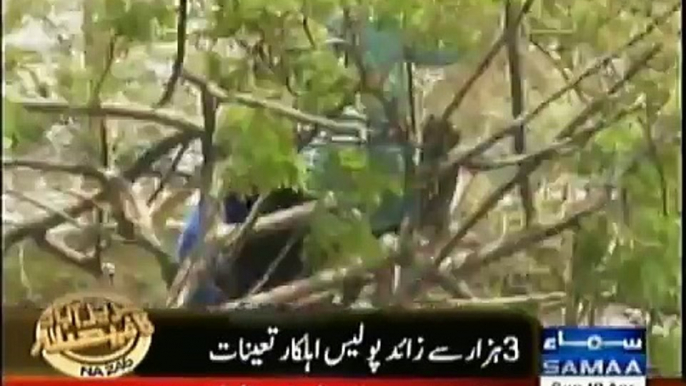 PTI Imran Khan Zani members CUT TREES for Imran Khan Jalsa NA246 Karachi