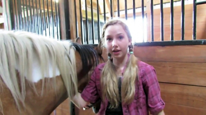 How to Braid a Horse's Mane